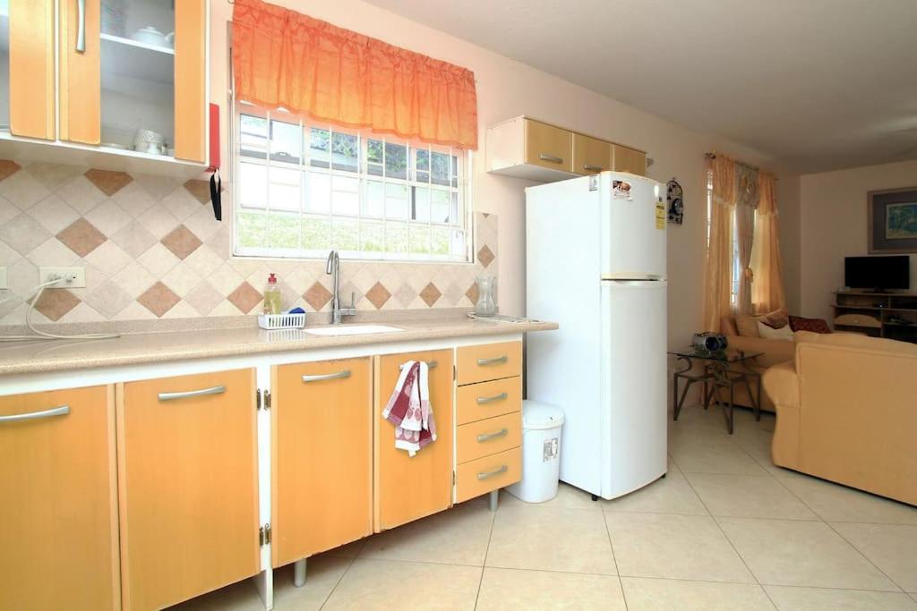 Sungold House Barbados Villa เซนต์ปีเตอร์ ภายนอก รูปภาพ